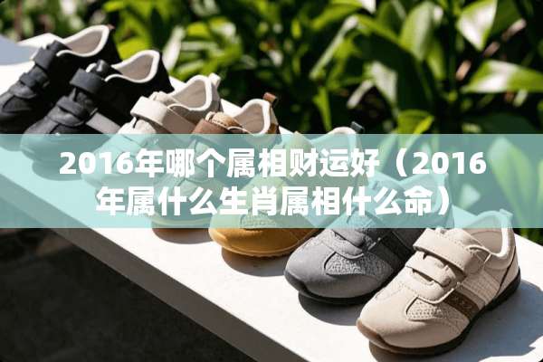 2016年哪个属相财运好（2016年属什么生肖属相什么命）