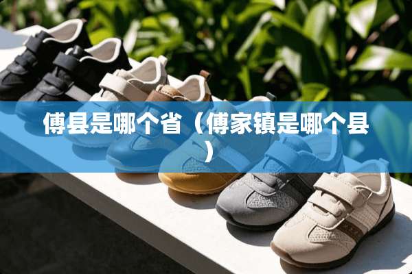 傅县是哪个省（傅家镇是哪个县）