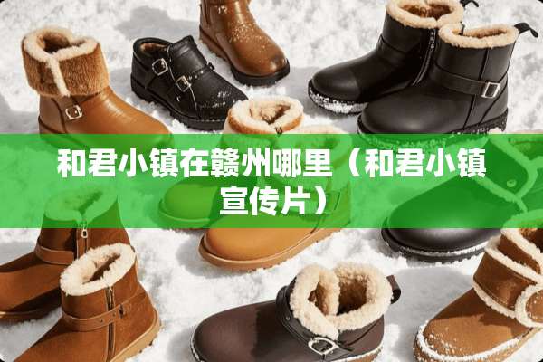 和君小镇在赣州哪里（和君小镇宣传片）