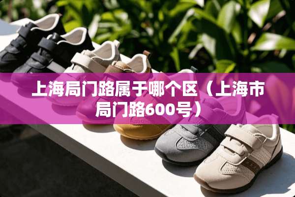 上海局门路属于哪个区（上海市局门路600号）