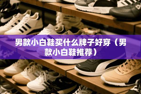 男款小白鞋买什么牌子好穿（男款小白鞋推荐）