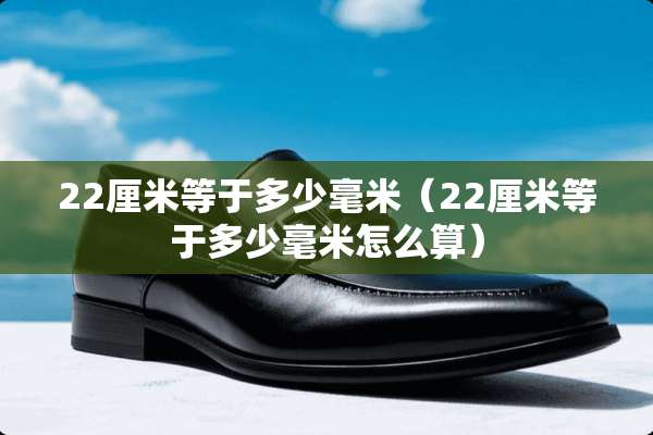 22厘米等于多少毫米（22厘米等于多少毫米怎么算）