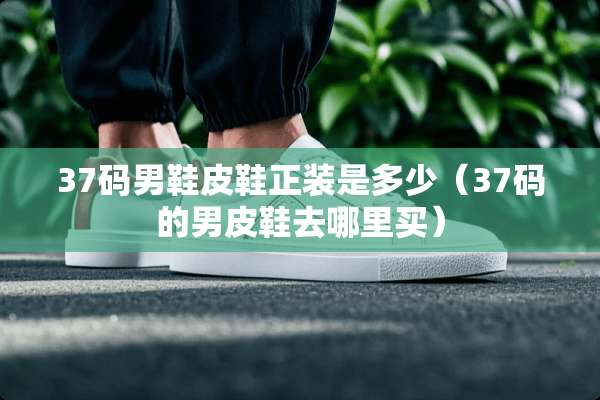 37码男鞋皮鞋正装是多少（37码的男皮鞋去哪里买）
