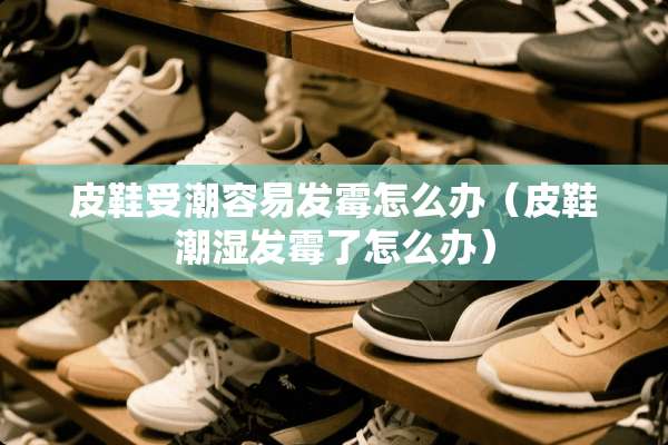 皮鞋受潮容易发霉怎么办（皮鞋潮湿发霉了怎么办）