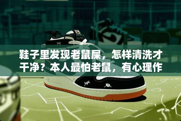 鞋子里发现老鼠屎，怎样清洗才干净？本人最怕老鼠，有心理作用怎么办？