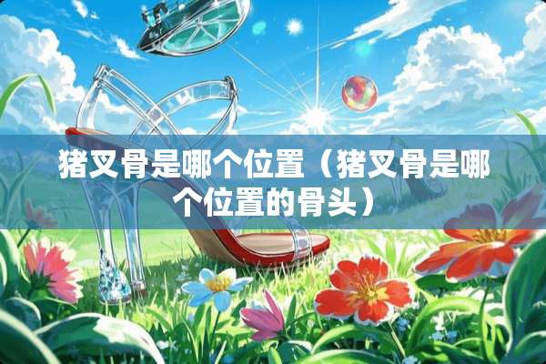 猪叉骨是哪个位置（猪叉骨是哪个位置的骨头）