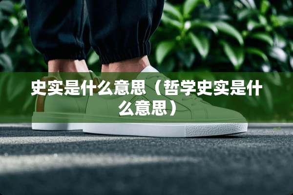 史实是什么意思（哲学史实是什么意思）