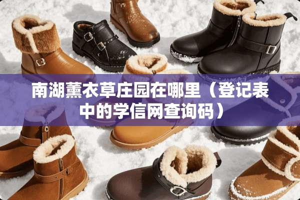 南湖薰衣草庄园在哪里（登记表中的学信网查询码）