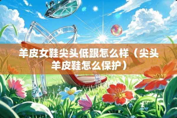羊皮女鞋尖头低跟怎么样（尖头羊皮鞋怎么保护）
