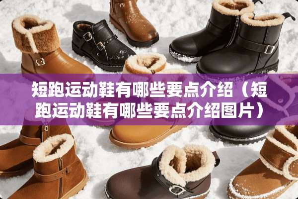 短跑运动鞋有哪些要点介绍（短跑运动鞋有哪些要点介绍图片）