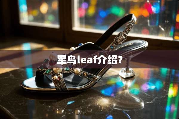 军鸟leaf介绍？