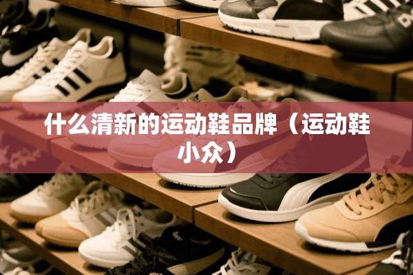 什么清新的运动鞋品牌（运动鞋小众）