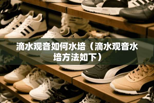 滴水观音如何水培（滴水观音水培方法如下）