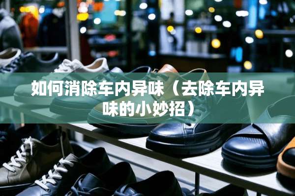 如何消除车内异味（去除车内异味的小妙招）