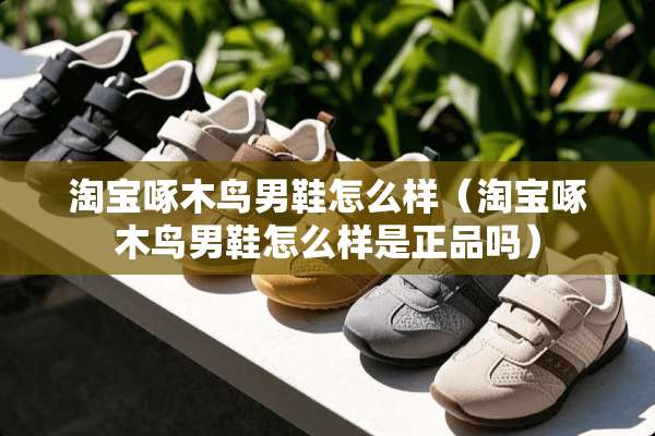 淘宝啄木鸟男鞋怎么样（淘宝啄木鸟男鞋怎么样是正品吗）