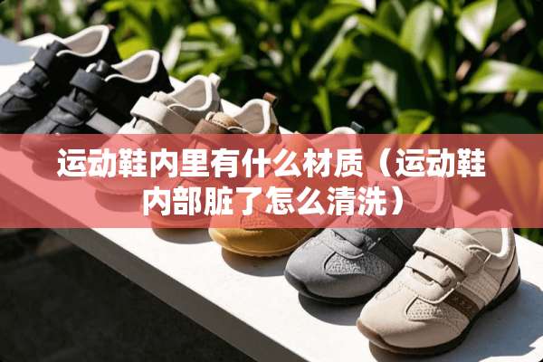 运动鞋内里有什么材质（运动鞋内部脏了怎么清洗）