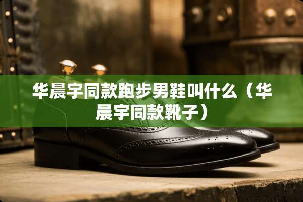 华晨宇同款跑步男鞋叫什么（华晨宇同款靴子）