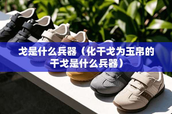 戈是什么兵器（化干戈为玉帛的干戈是什么兵器）