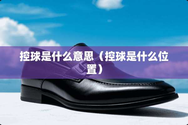 控球是什么意思（控球是什么位置）