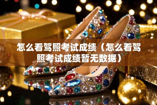 怎么看驾照考试成绩（怎么看驾照考试成绩暂无数据）