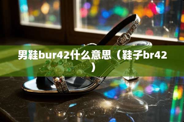 男鞋bur42什么意思（鞋子br42）