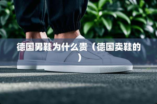 德国男鞋为什么贵（德国卖鞋的）