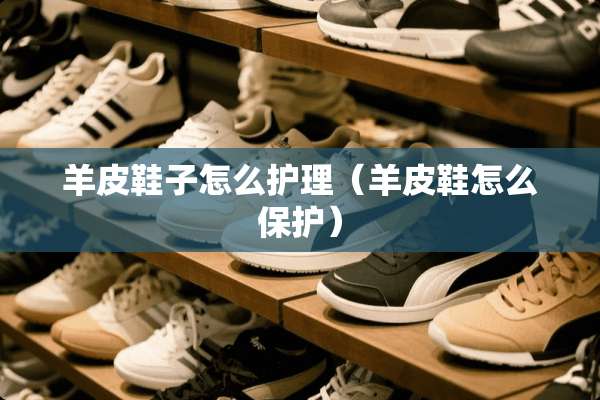 羊皮鞋子怎么护理（羊皮鞋怎么保护）