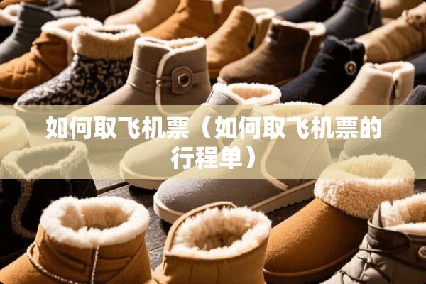 如何取***（如何取***的行程单）