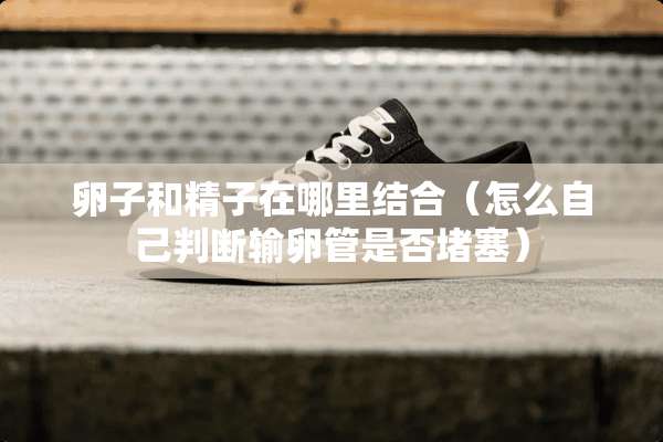 卵子和**在哪里结合（怎么自己判断输卵管是否堵塞）