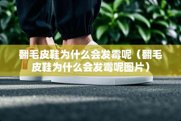 翻毛皮鞋为什么会发霉呢（翻毛皮鞋为什么会发霉呢图片）