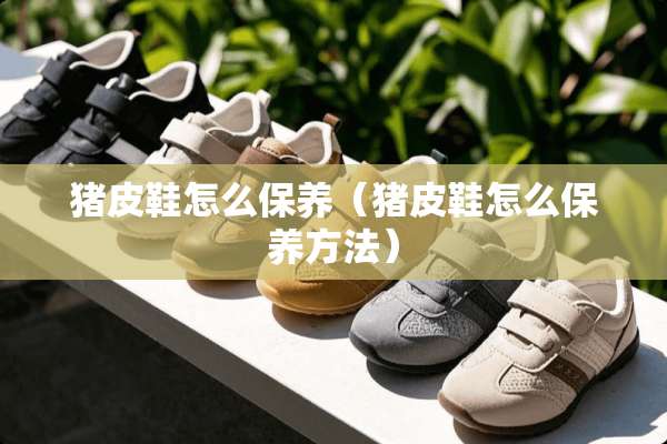 猪皮鞋怎么保养（猪皮鞋怎么保养方法）