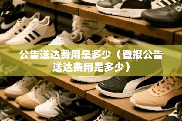 公告送达费用是多少（登报公告送达费用是多少）