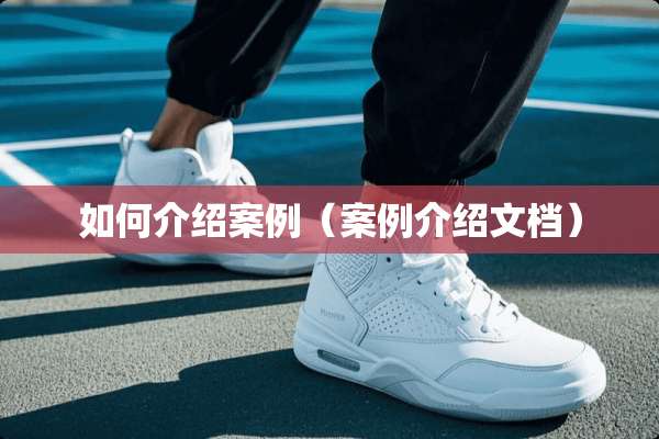 如何介绍案例（案例介绍文档）
