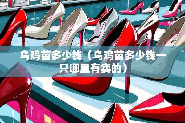 乌鸡苗多少钱（乌鸡苗多少钱一只哪里有卖的）