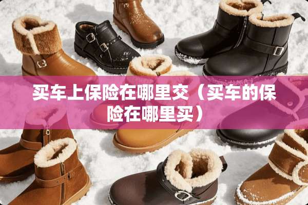 买车上保险在哪里交（买车的保险在哪里买）