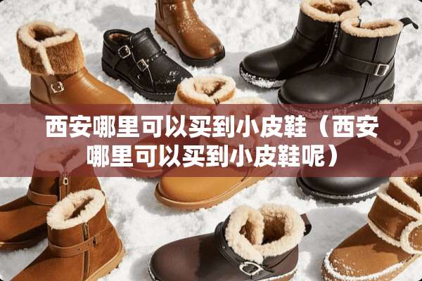 西安哪里可以买到小皮鞋（西安哪里可以买到小皮鞋呢）