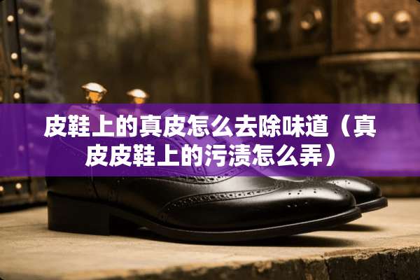 皮鞋上的真皮怎么去除味道（真皮皮鞋上的污渍怎么弄）