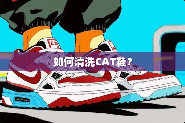 如何清洗CAT鞋？