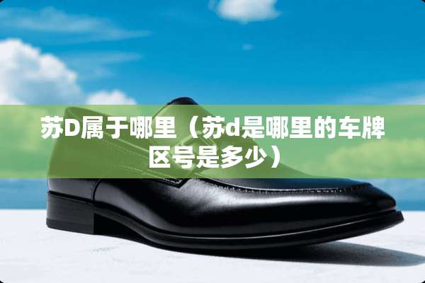 苏D属于哪里（苏d是哪里的车牌区号是多少）