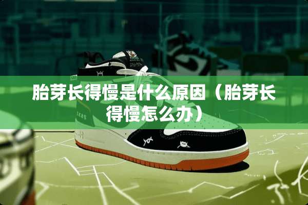 胎芽长得慢是什么原因（胎芽长得慢怎么办）