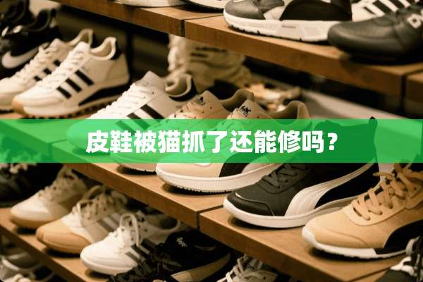 皮鞋被猫抓了还能修吗？
