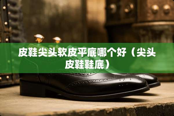 皮鞋尖头软皮平底哪个好（尖头皮鞋鞋底）
