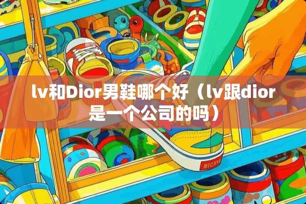 lv和Dior男鞋哪个好（lv跟dior是一个公司的吗）