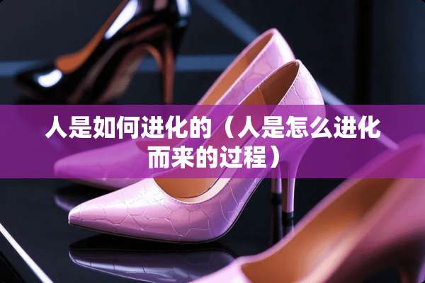 人是如何进化的（人是怎么进化而来的过程）