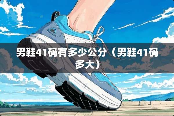 男鞋41码有多少公分（男鞋41码多大）