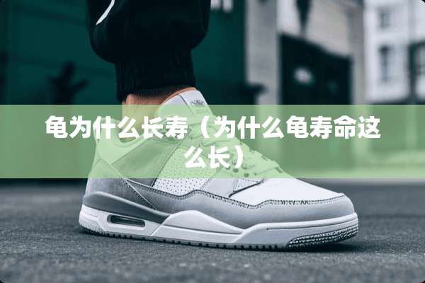龟为什么长寿（为什么龟寿命这么长）