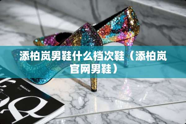 添柏岚男鞋什么档次鞋（添柏岚官网男鞋）