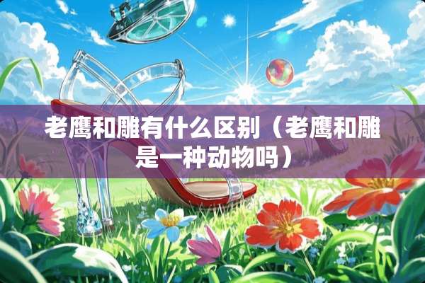 老鹰和雕有什么区别（老鹰和雕是一种动物吗）