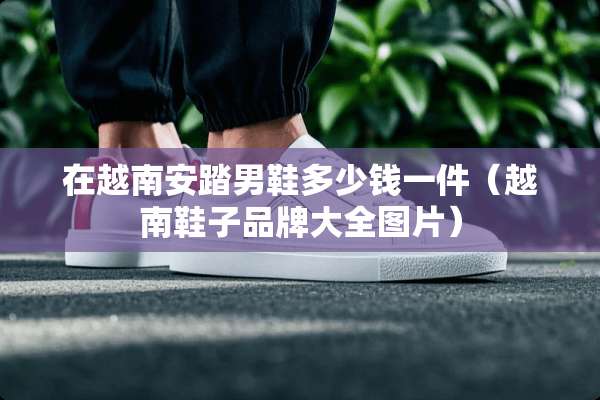 在越南安踏男鞋多少钱一件（越南鞋子品牌大全图片）
