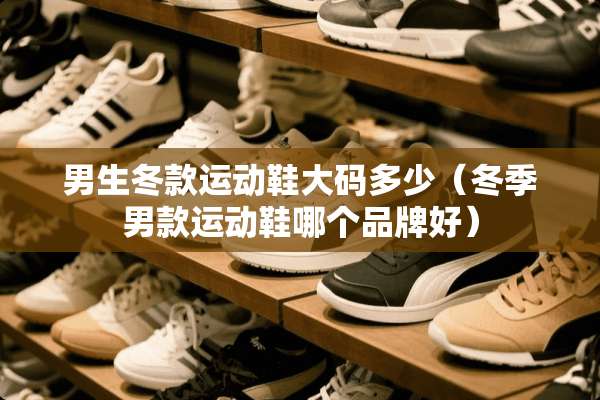 男生冬款运动鞋大码多少（冬季男款运动鞋哪个品牌好）